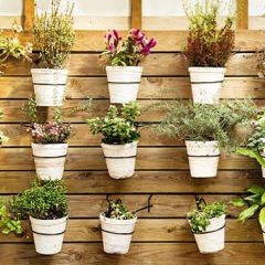 décoration murale avec pots de fleurs